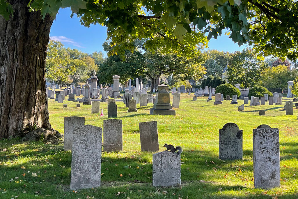 The Ultimate Guide to the Most Beautiful Headstones